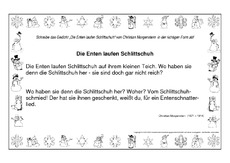 Schreiben-Die-Enten-laufen-Morgenstern.pdf